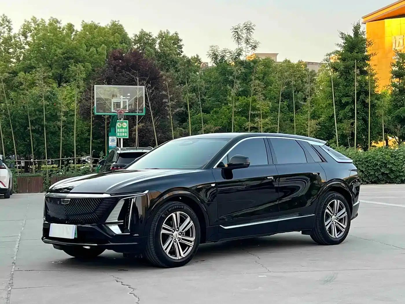 iQ Ruige 2024 Rear-Wheel Drive Standard Range Luxury Edition — миниатюра 1