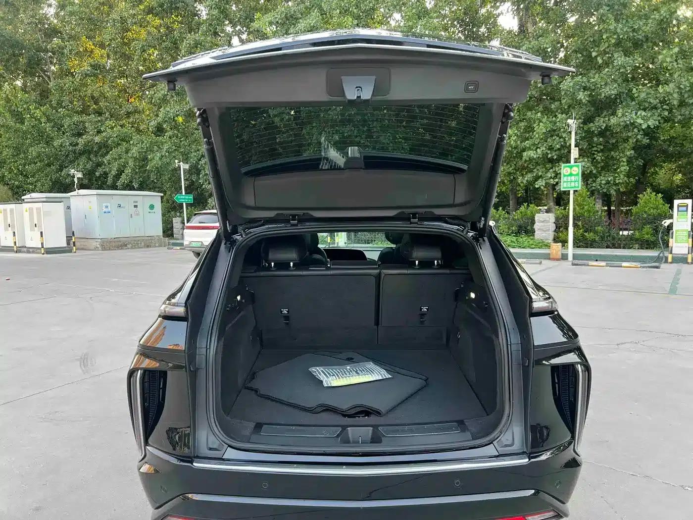iQ Ruige 2024 Rear-Wheel Drive Standard Range Luxury Edition — миниатюра 12