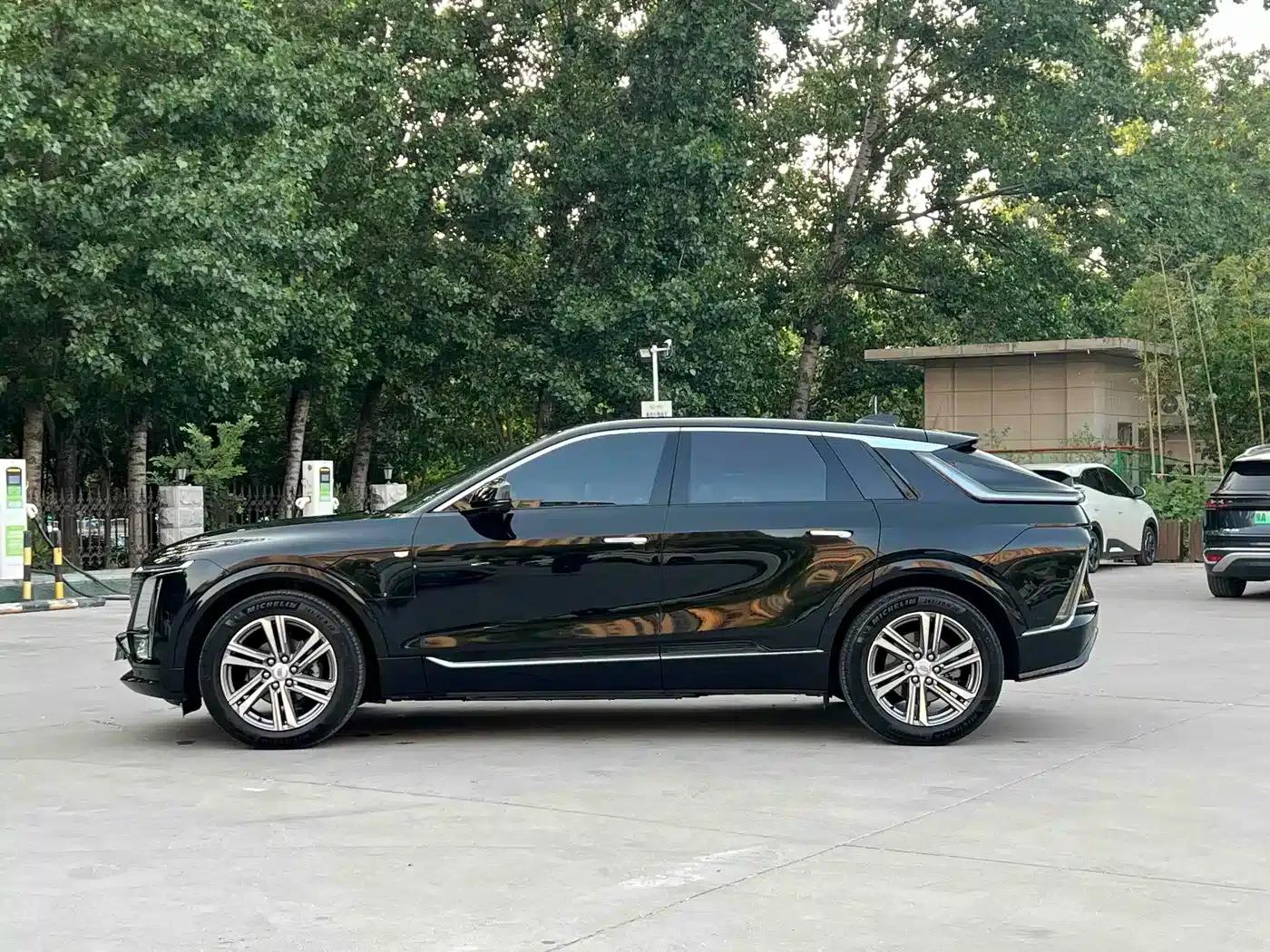 iQ Ruige 2024 Rear-Wheel Drive Standard Range Luxury Edition — миниатюра 4