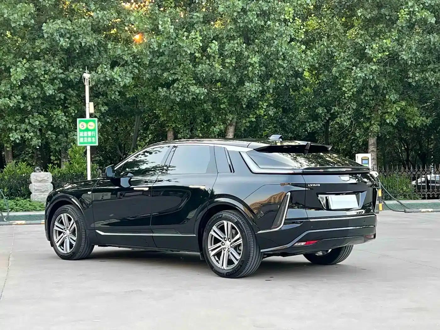 iQ Ruige 2024 Rear-Wheel Drive Standard Range Luxury Edition — миниатюра 5