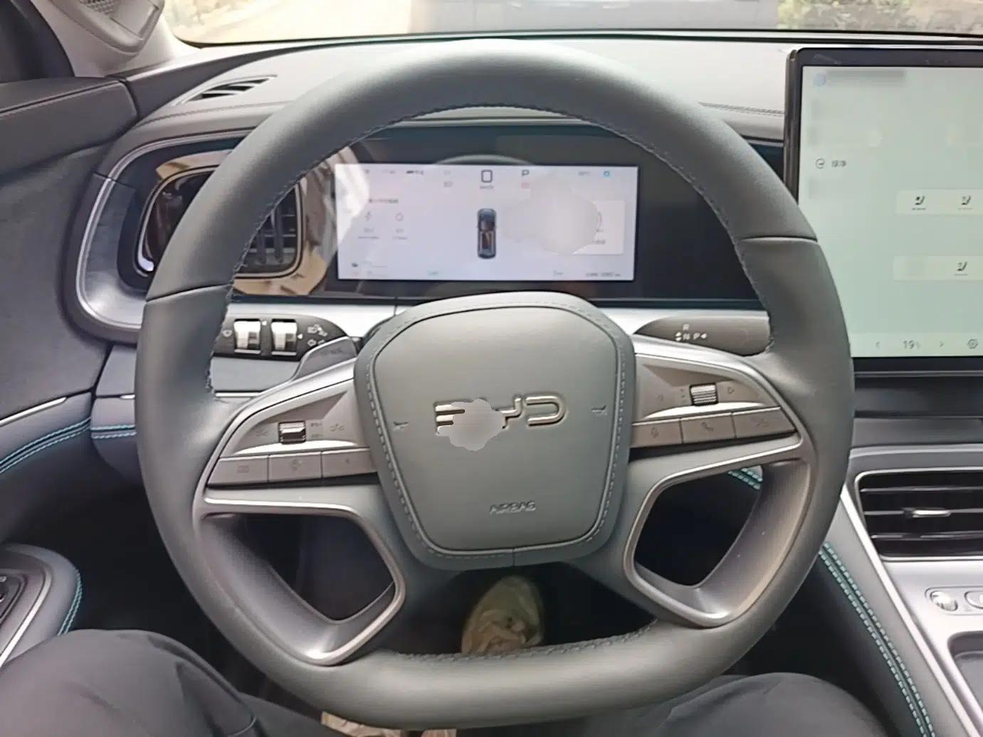 BYD Sealion 07 DM-i 2025 150 Flagship+ Edition — миниатюра 14