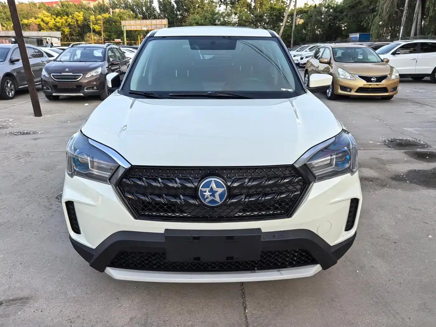 Venucia T60 2020 1.6L CVT Smart Edition (National VI Emission Standard) — миниатюра 2