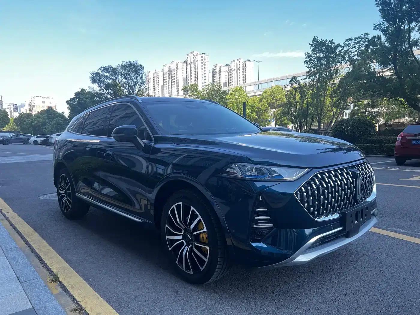 Wey brand Mocha 2021 2.0T 4WD Special Edition — миниатюра 3