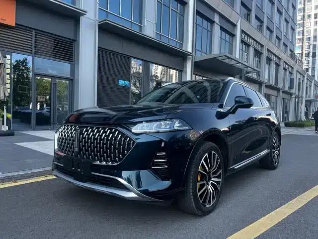 Wey brand Mocha 2021 2.0T 4WD Special Edition