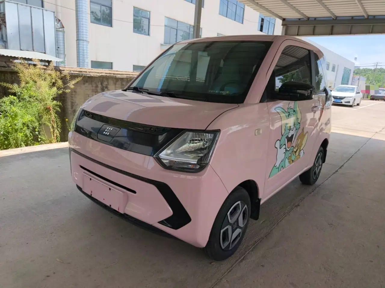Dongfeng Fengon MINIEV 2022 Simple Style Comfort Version — миниатюра 1