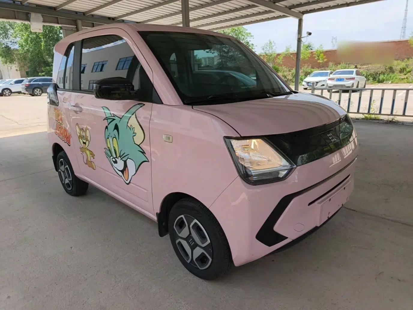 Dongfeng Fengon MINIEV 2022 Simple Style Comfort Version — миниатюра 6