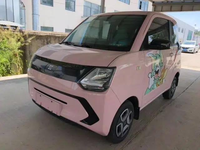 Dongfeng Fengon MINIEV 2022 Simple Style Comfort Version