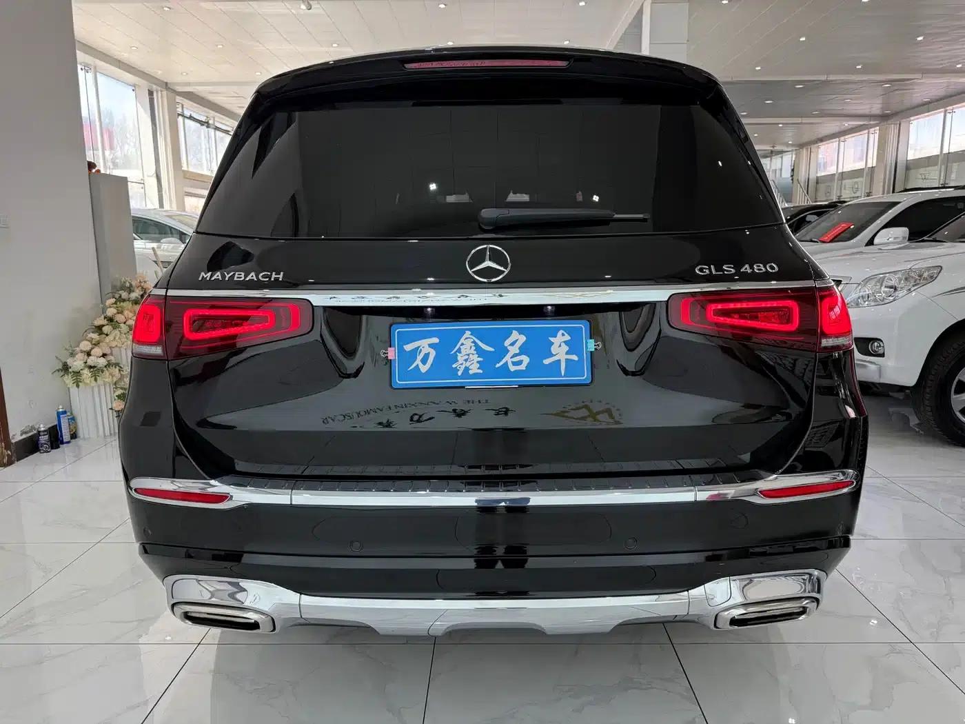 2022 Maybach GLS 480 4MATIC — миниатюра 18