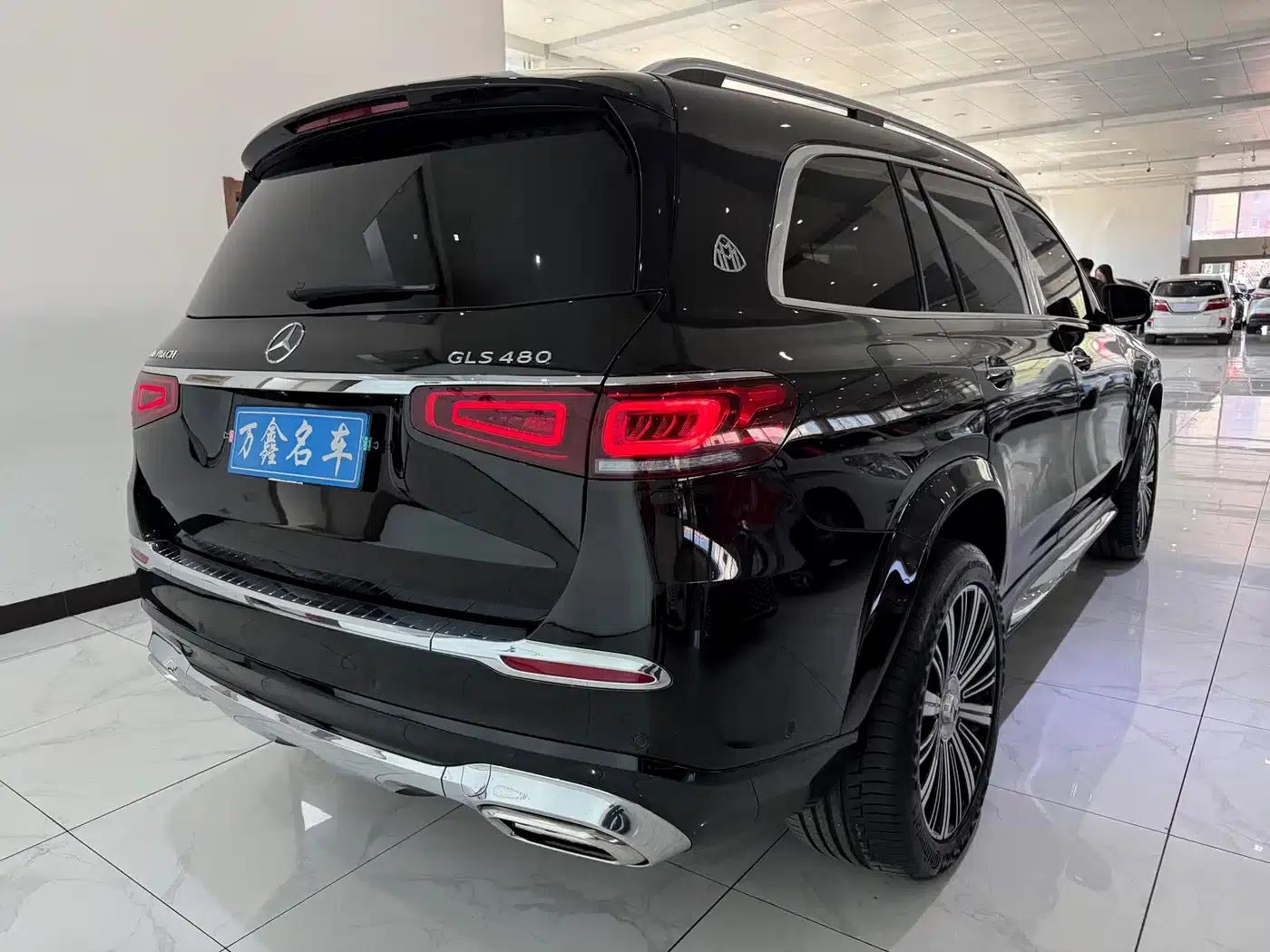 2022 Maybach GLS 480 4MATIC — миниатюра 19