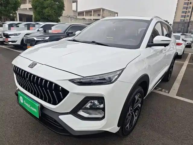 Sihao X8 2021 300T DCT Luxury Intelligent Connected Edition 7-seater