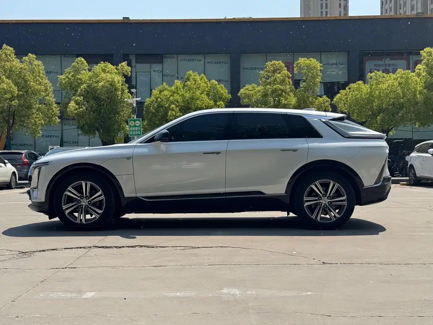iQ Ruige 2024 Rear-Wheel Drive Standard Range Luxury Edition — миниатюра 5