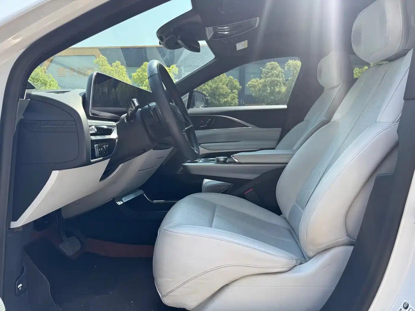 iQ Ruige 2024 Rear-Wheel Drive Standard Range Luxury Edition — миниатюра 6