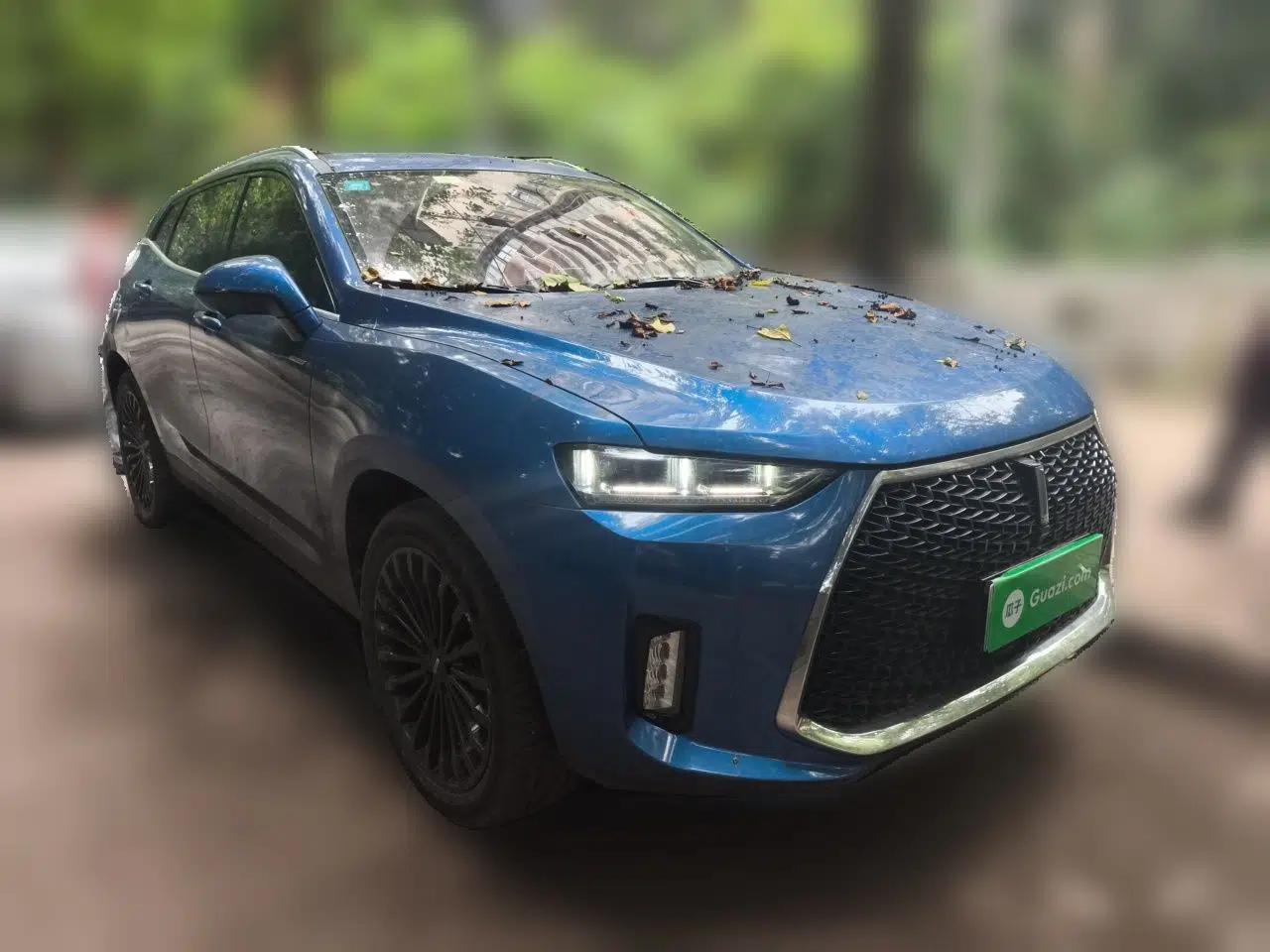 Wey P8 2018 2.0T Flagship Model — миниатюра 3