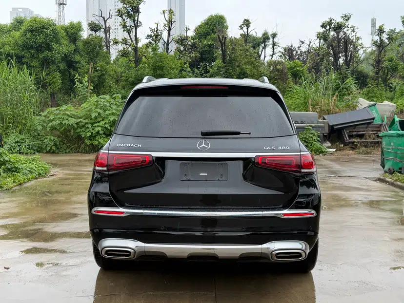 Mercedes-Benz Maybach GLS 2021 GLS 480 4MATIC — миниатюра 7
