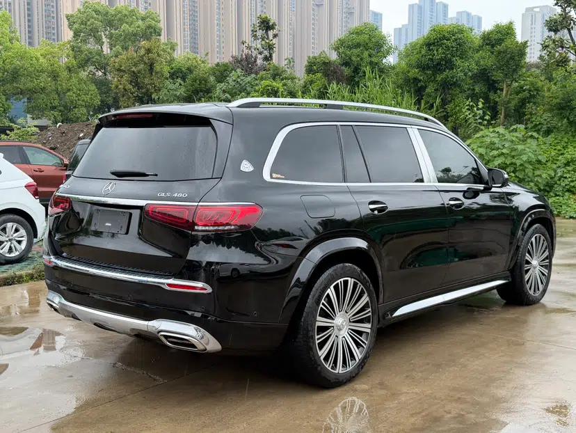 Mercedes-Benz Maybach GLS 2021 GLS 480 4MATIC — миниатюра 8