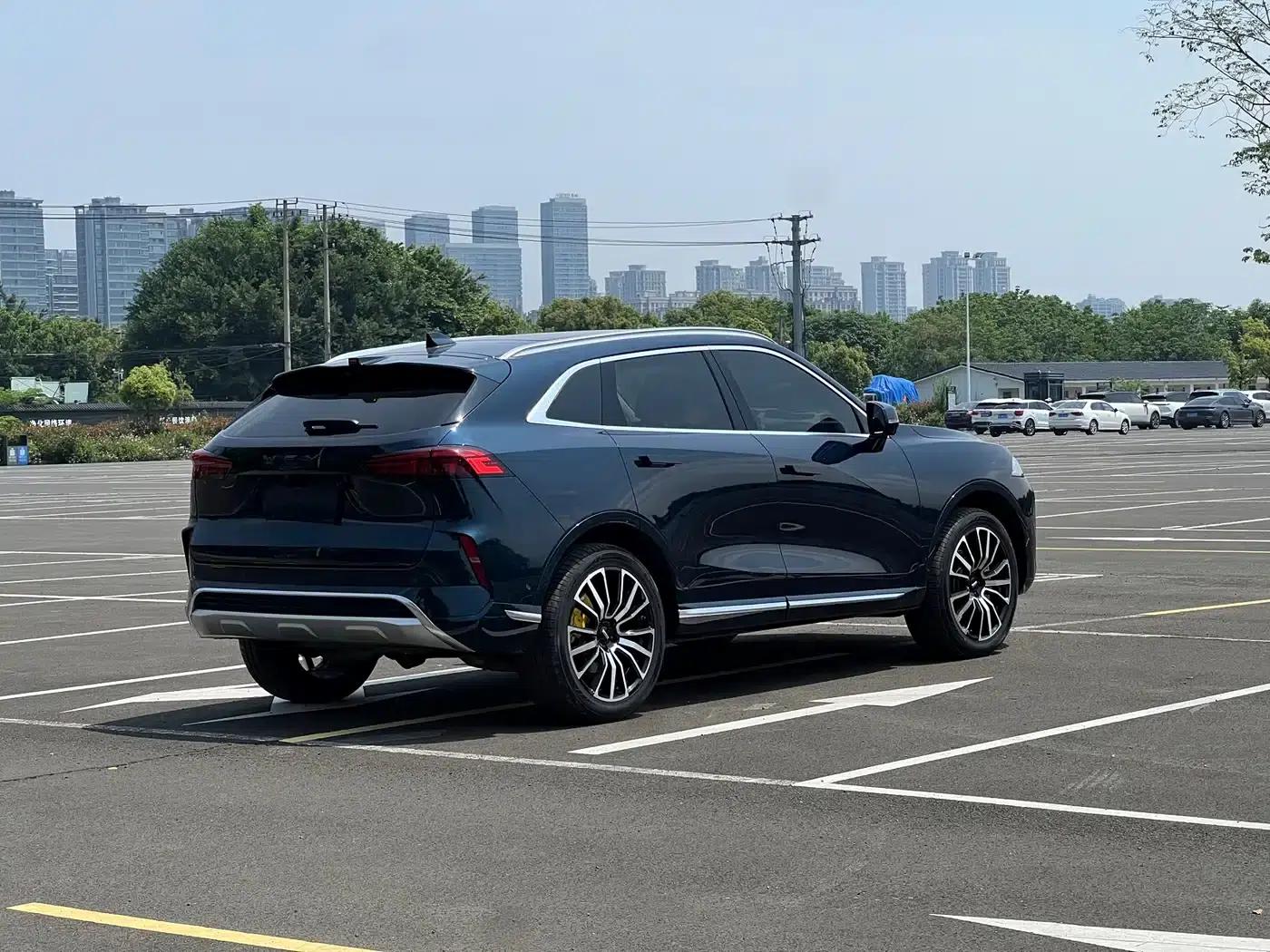 Wey brand Mocha 2021 2.0T 4WD Special Edition — миниатюра 13