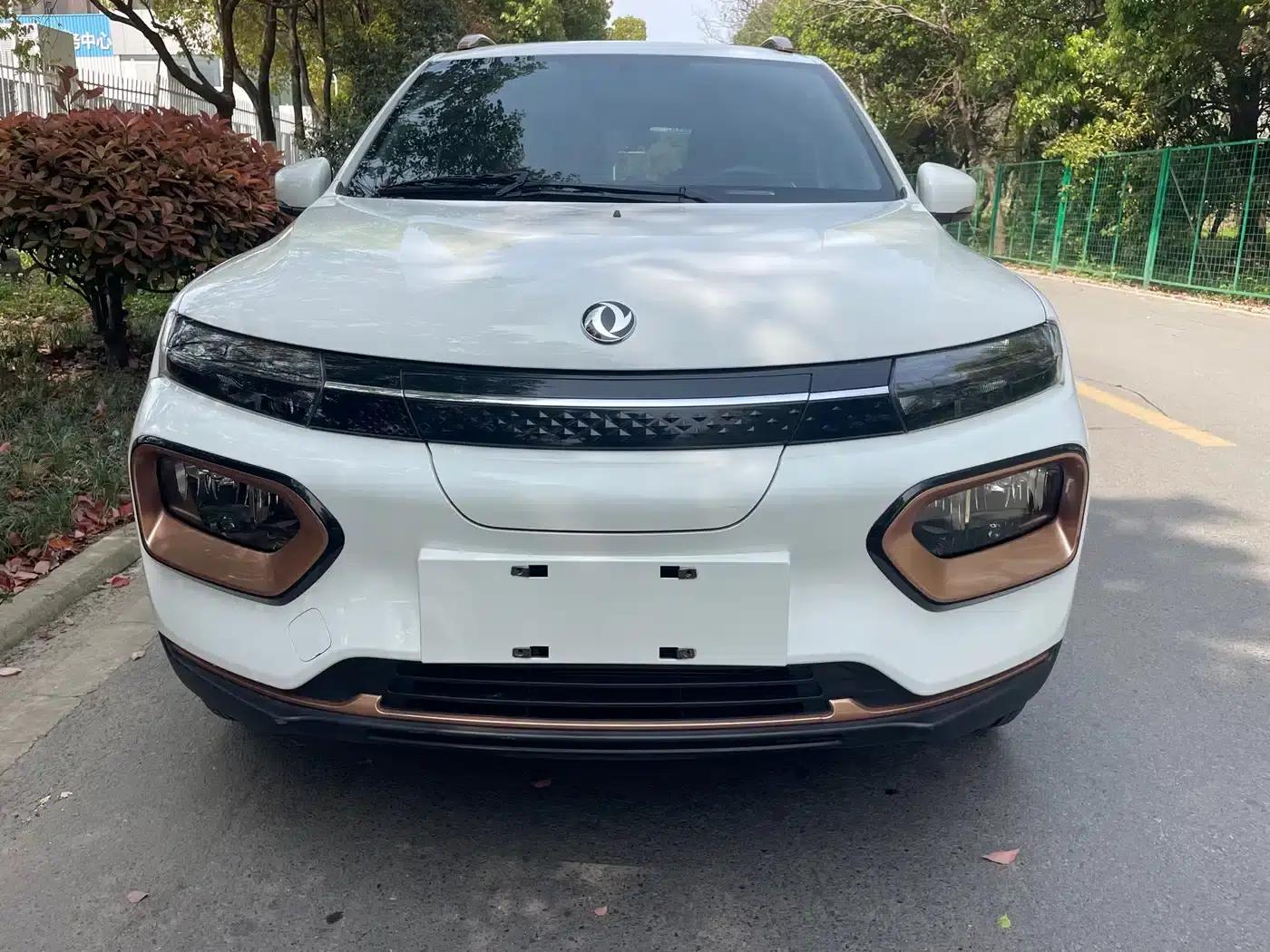 Nano BOX 2022 Champion Edition Light Breeze Version 201KM Standard Model — миниатюра 2