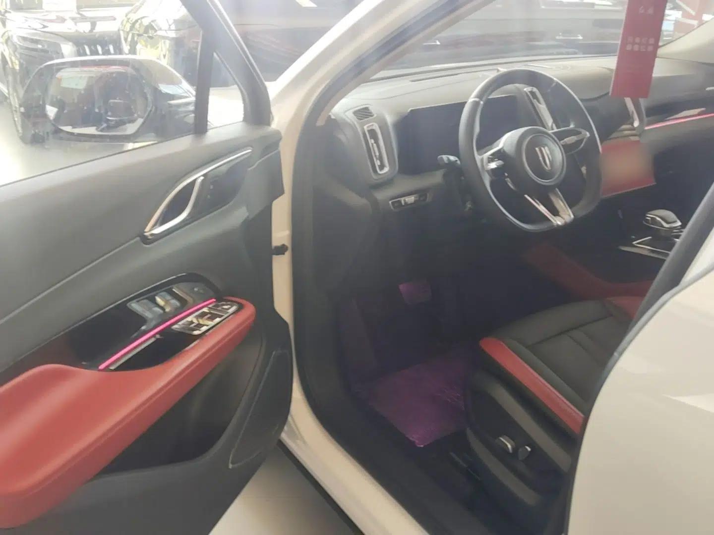 Hongqi HS3 2023 1.5T Two-Wheel Drive Shanwei Edition — миниатюра 19
