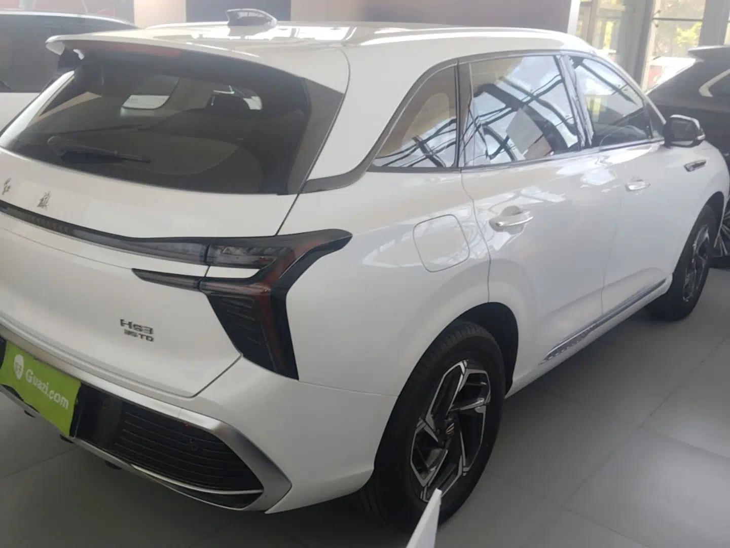 Hongqi HS3 2023 1.5T Two-Wheel Drive Shanwei Edition — миниатюра 6