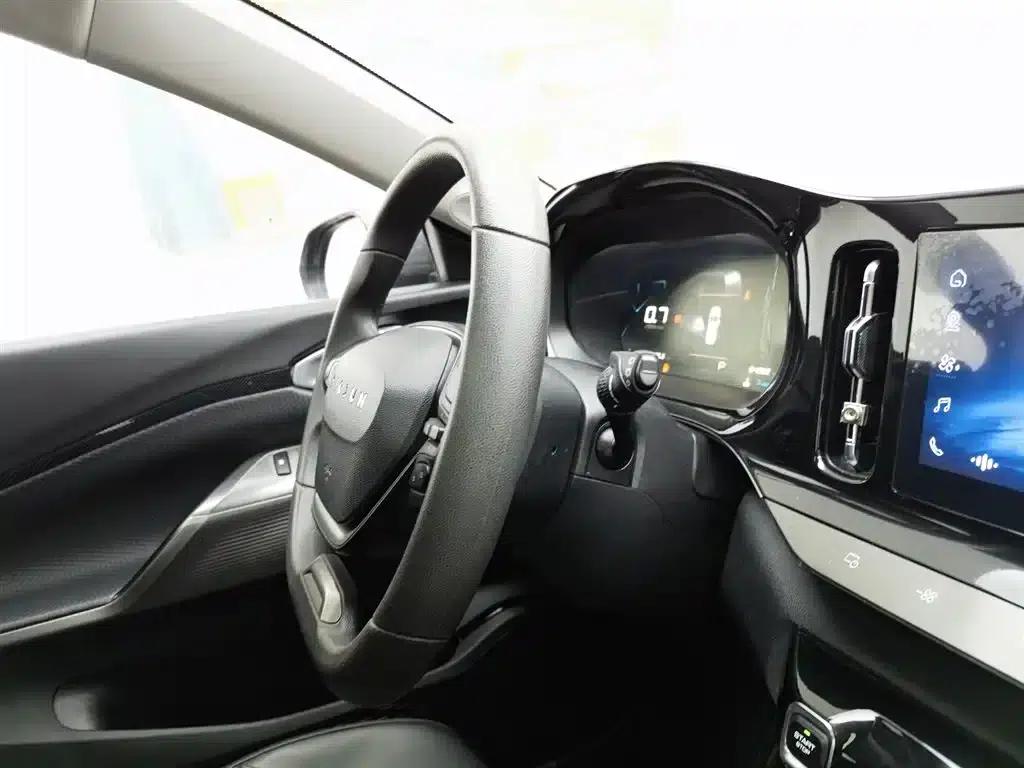 Baojun Valli 2021 1.5T Yili Ranch CVT Luxury Edition — миниатюра 22