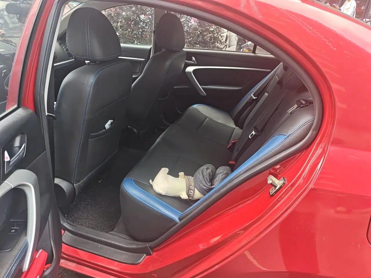 Geely Auto Emgrand New Energy 2017 EV300 Elite Model — миниатюра 18