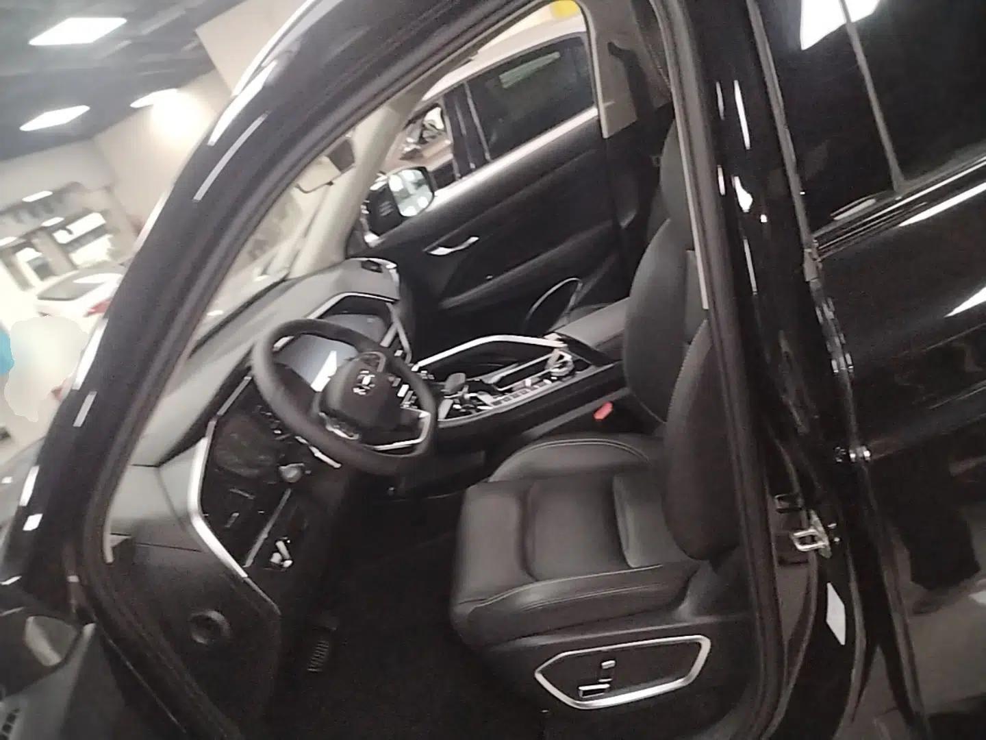 Geely Auto Monjaro S 2021 2.0TD Automatic Two-Wheel Drive Lightning Edition — миниатюра 18