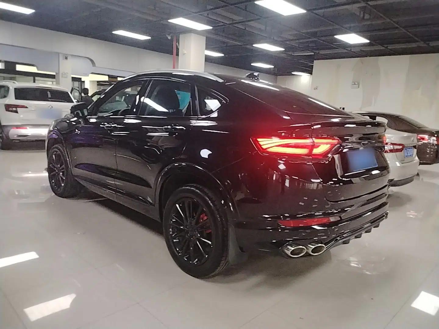 Geely Auto Monjaro S 2021 2.0TD Automatic Two-Wheel Drive Lightning Edition — миниатюра 4