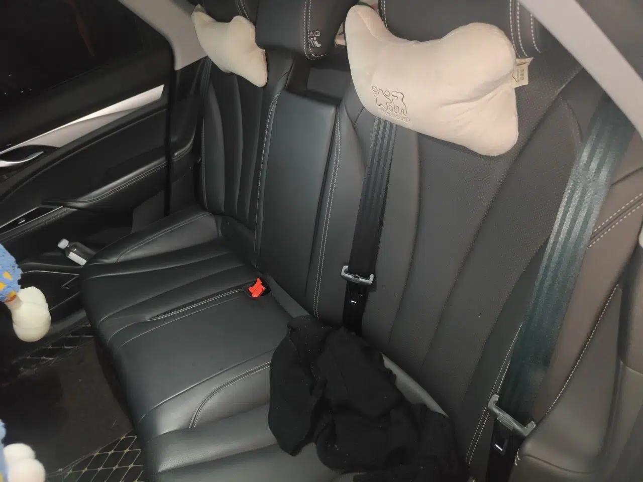 Geely Auto Emgrand GT New Energy 2021 1.5T ePro Elite Edition — миниатюра 18