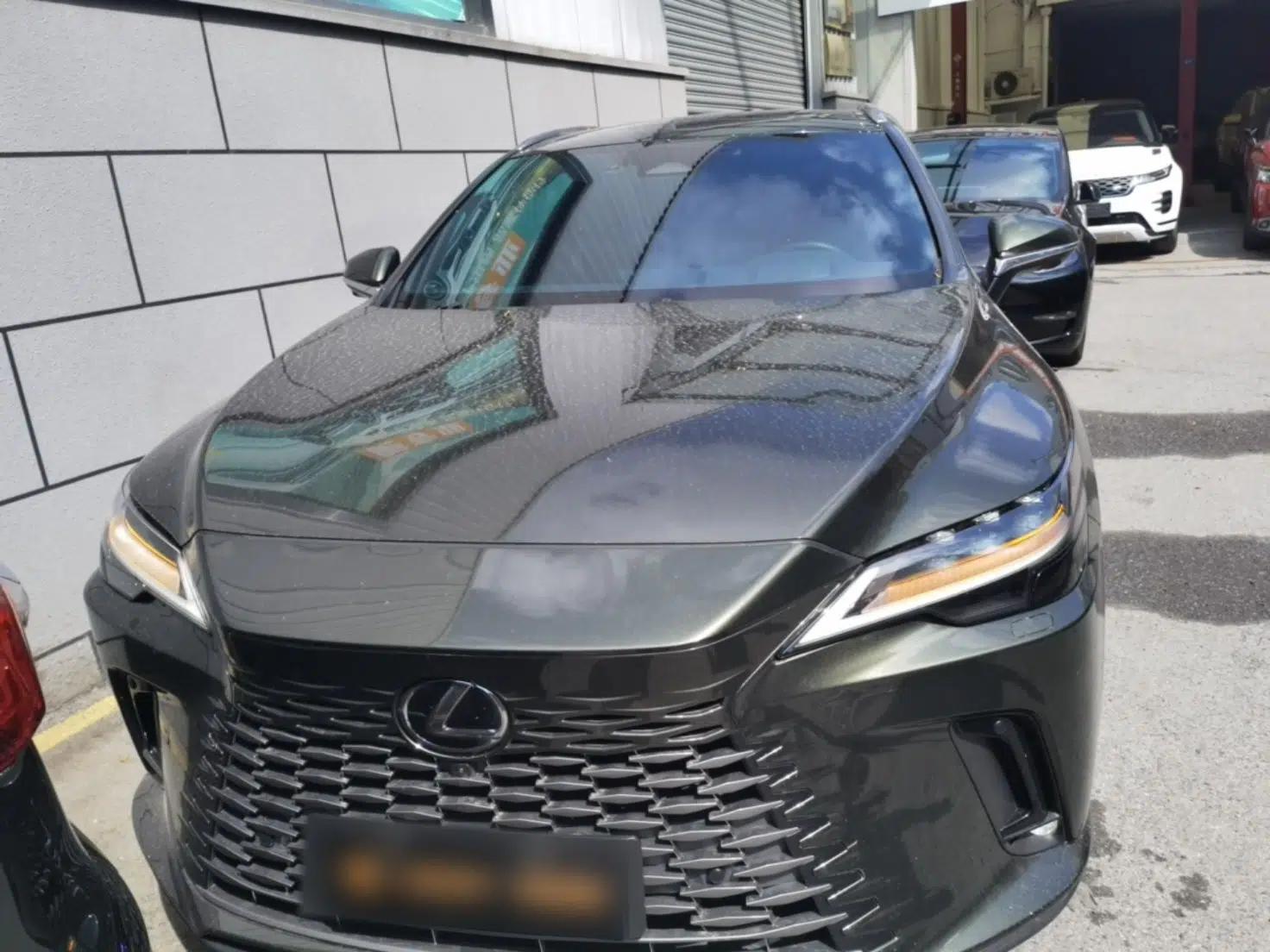 Lexus RX New Energy 2023 450h+ Four-Wheel Drive Enjoyment Edition — миниатюра 2