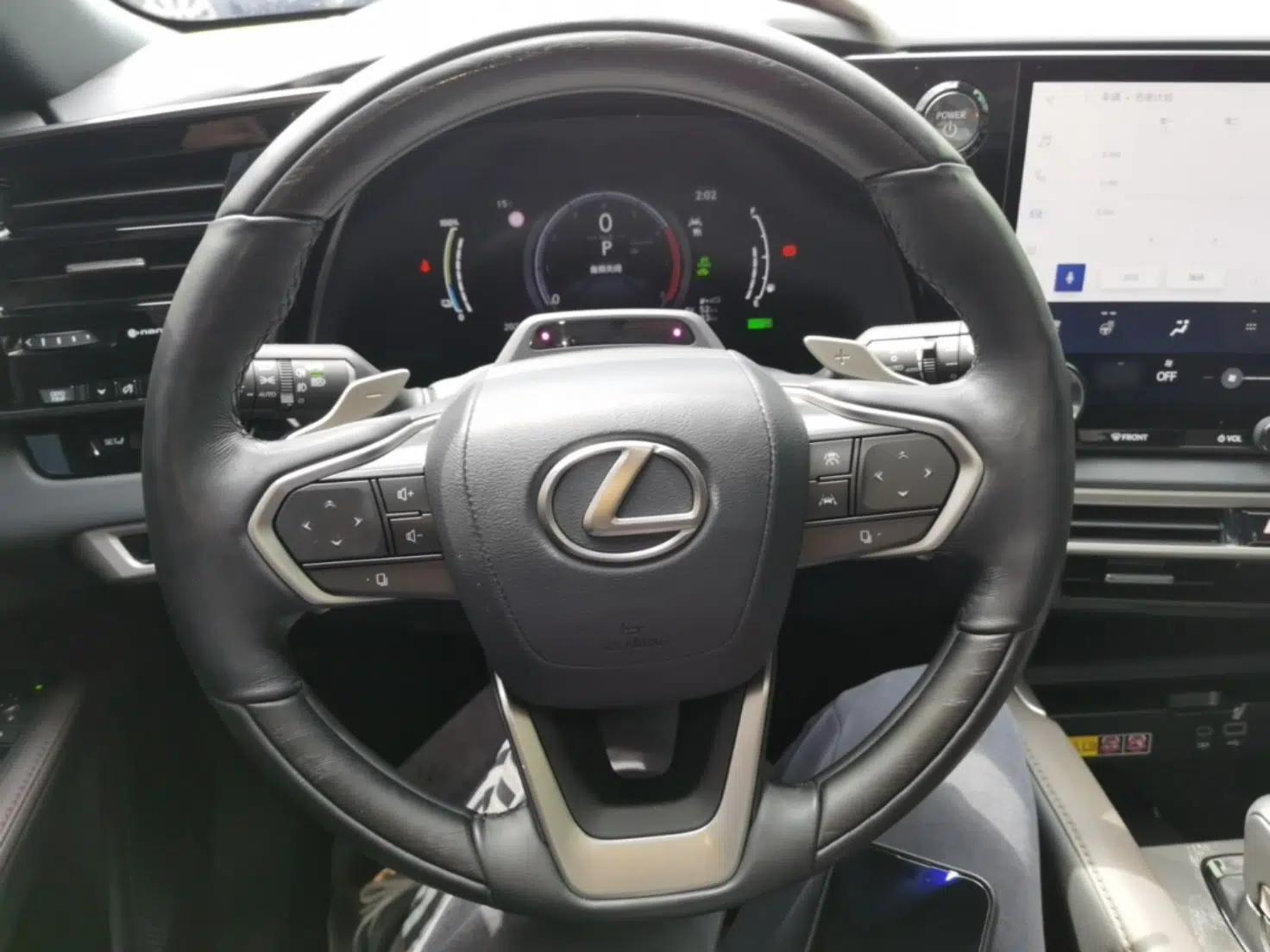 Lexus RX New Energy 2023 450h+ Four-Wheel Drive Enjoyment Edition — миниатюра 14