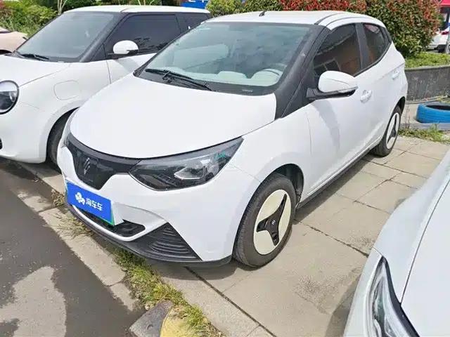 Yizhi EV2 2024 Model 201km Luxury