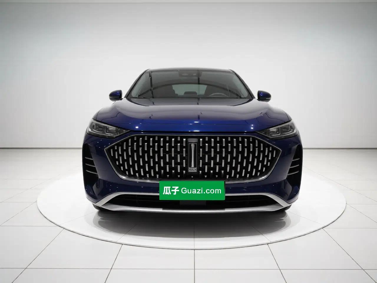 Wey Mocha 2021 2.0T Two-Wheel-Drive Premium Edition — миниатюра 2