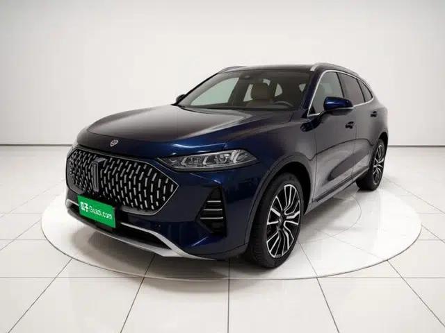 Wey Mocha 2021 2.0T Two-Wheel-Drive Premium Edition