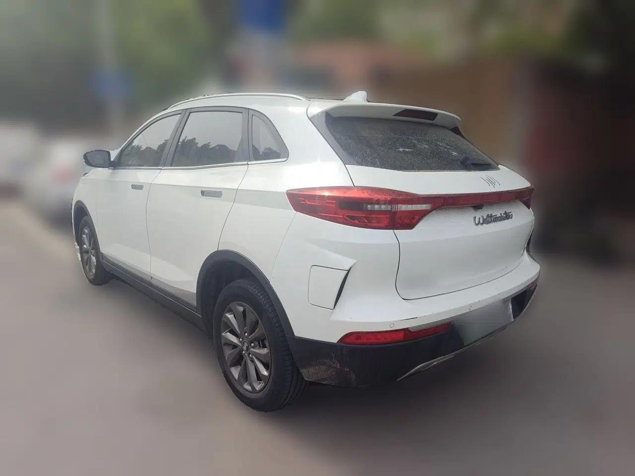 WM Motor EX5 2018 EX5 400 Lite Exploration Edition — миниатюра 4