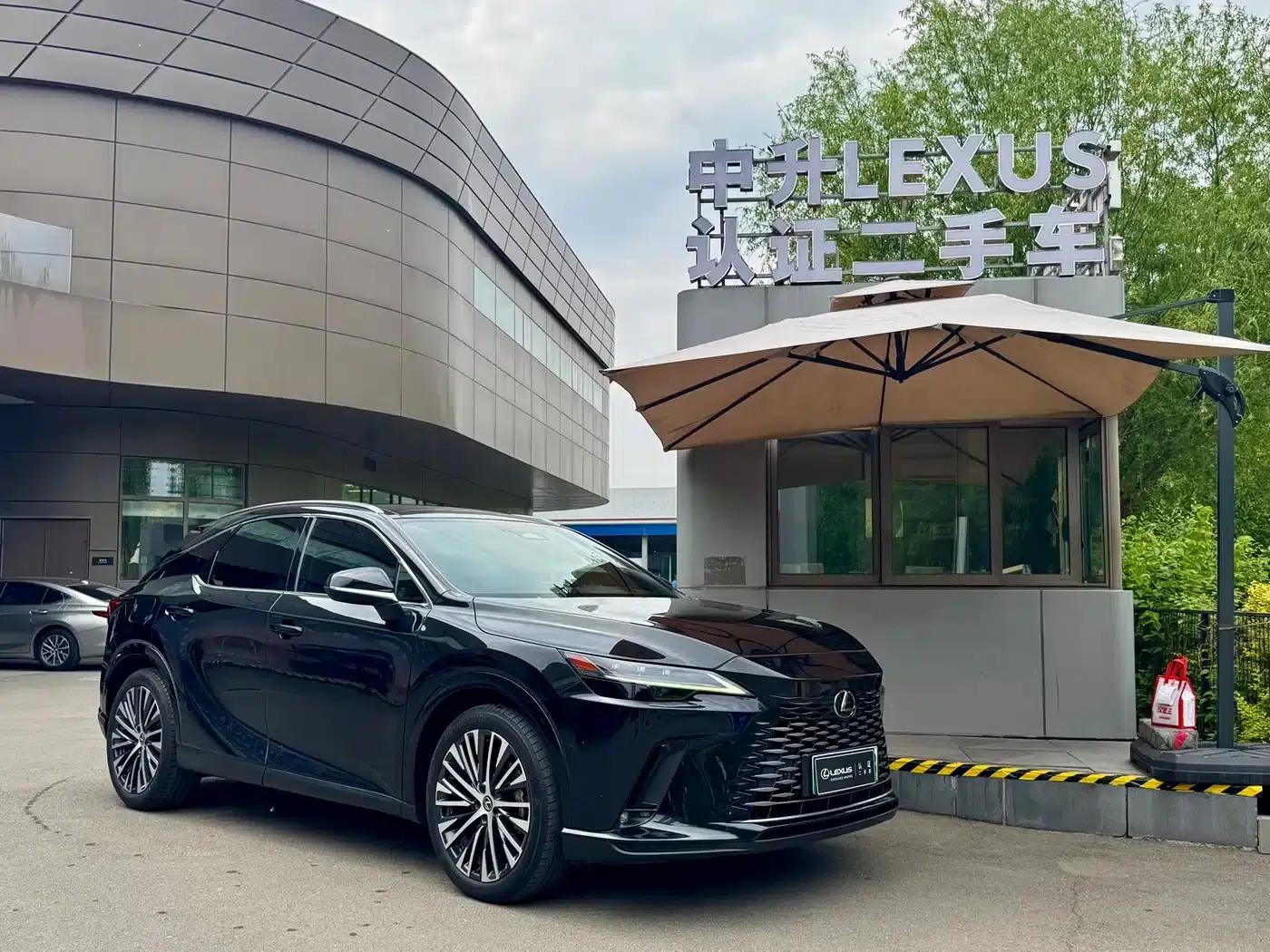 Lexus RX Hybrid 2023 450h+ AWD Enjoy Edition — миниатюра 1