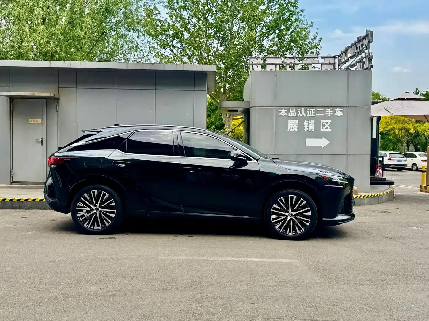 Lexus RX Hybrid 2023 450h+ AWD Enjoy Edition — миниатюра 4