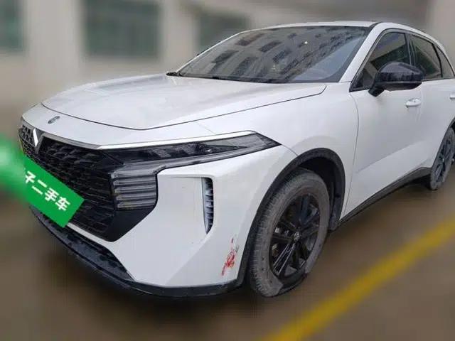 Venucia V 2021 260T New Star Edition