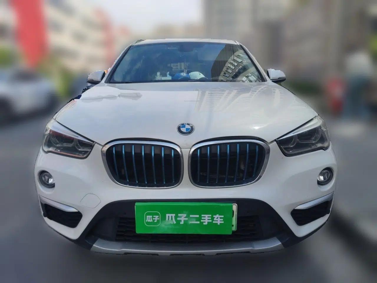 BMW X1 New Energy 2019 xDrive25Le Luxury Model — миниатюра 2