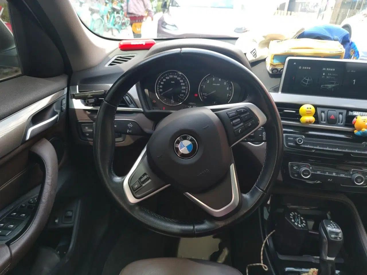 BMW X1 New Energy 2019 xDrive25Le Luxury Model — миниатюра 11