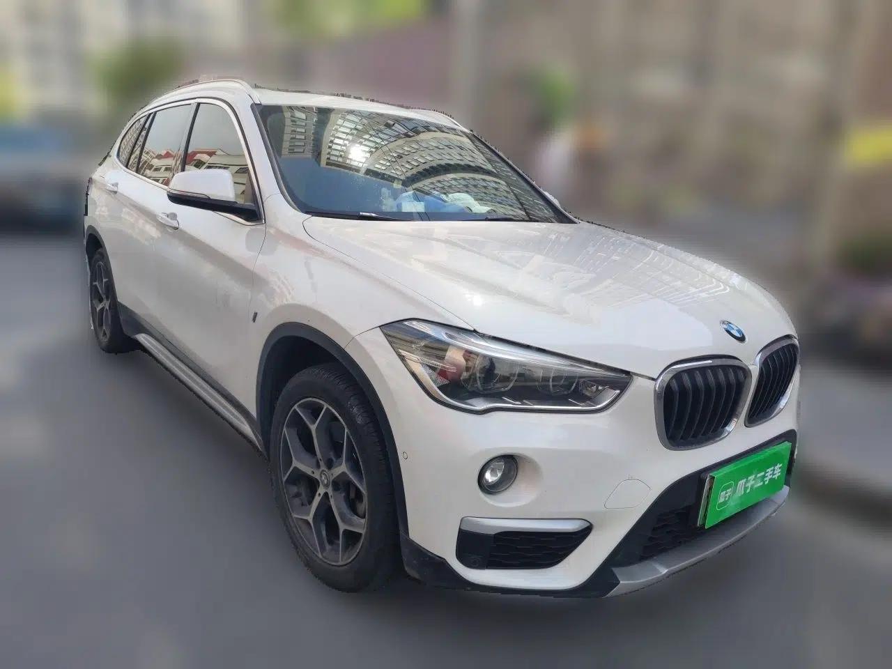 BMW X1 New Energy 2019 xDrive25Le Luxury Model — миниатюра 3