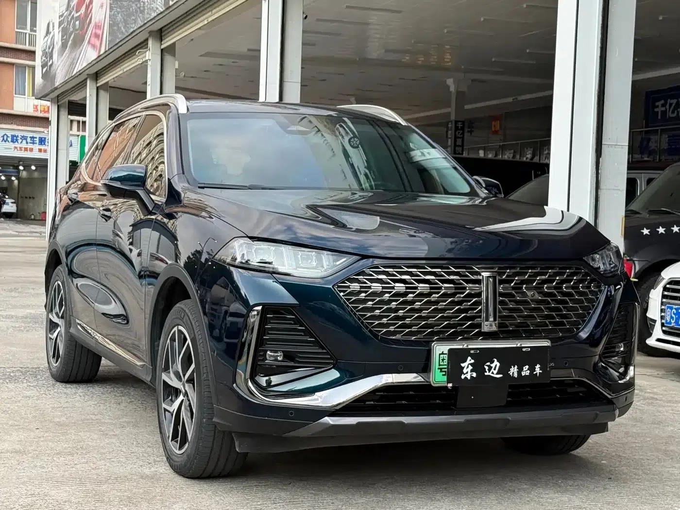 Weipai Latte DHT-PHEV 2022 1.5T AWD Super Large Cup — миниатюра 2