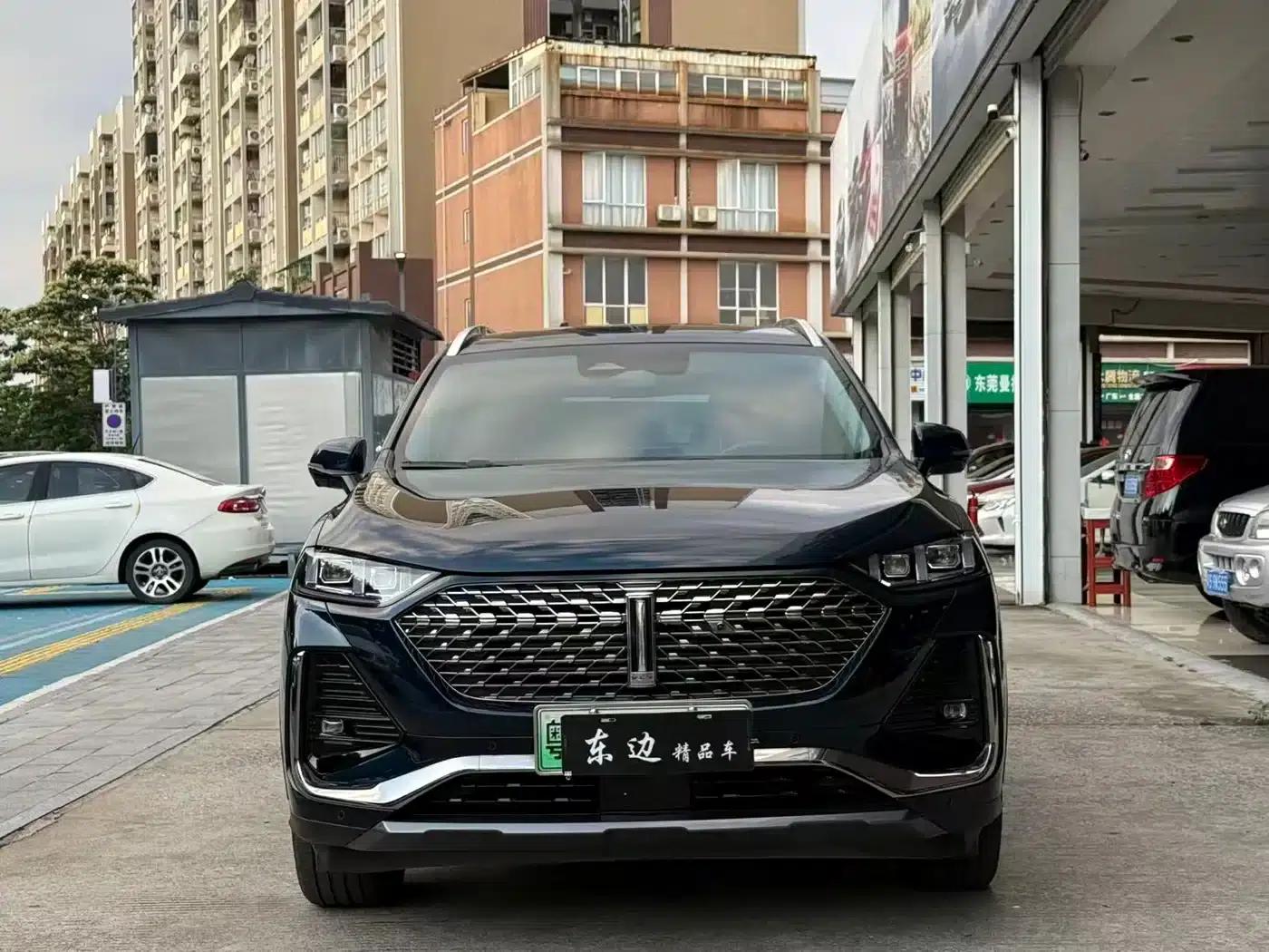 Weipai Latte DHT-PHEV 2022 1.5T AWD Super Large Cup — миниатюра 3