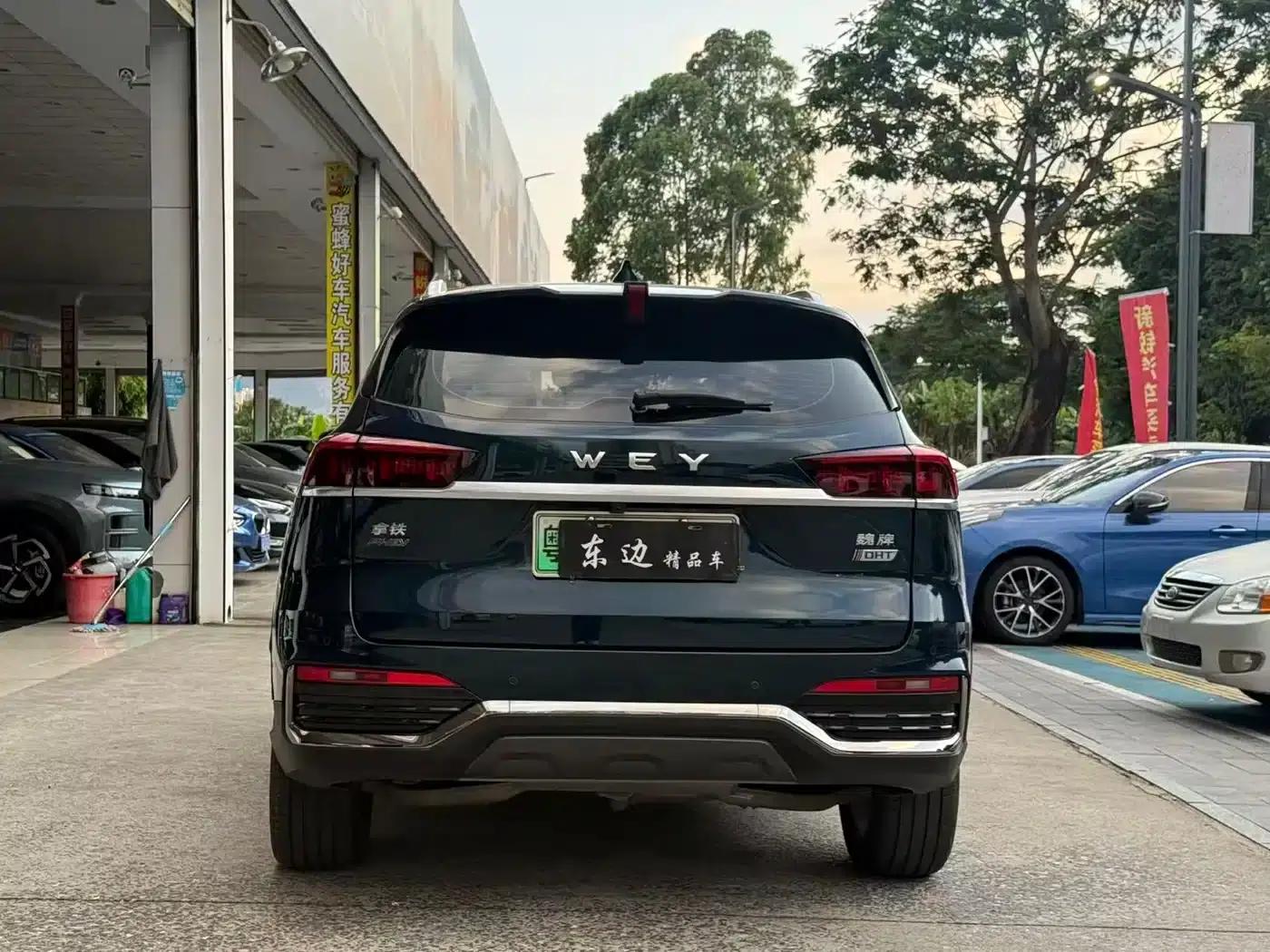 Weipai Latte DHT-PHEV 2022 1.5T AWD Super Large Cup — миниатюра 9