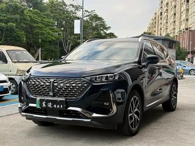 Weipai Latte DHT-PHEV 2022 1.5T AWD Super Large Cup