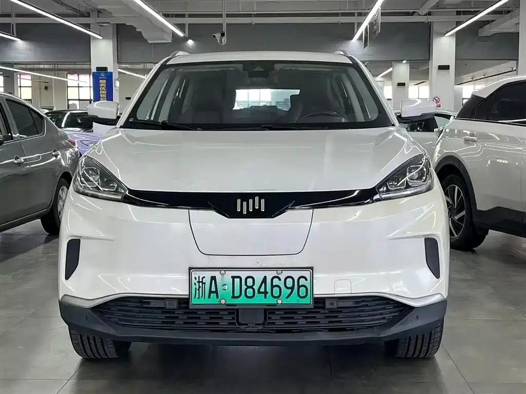 Weltmeister EX5 2019 Model EX5 Smart 2.0 Lite Explorer Edition 400 — миниатюра 2