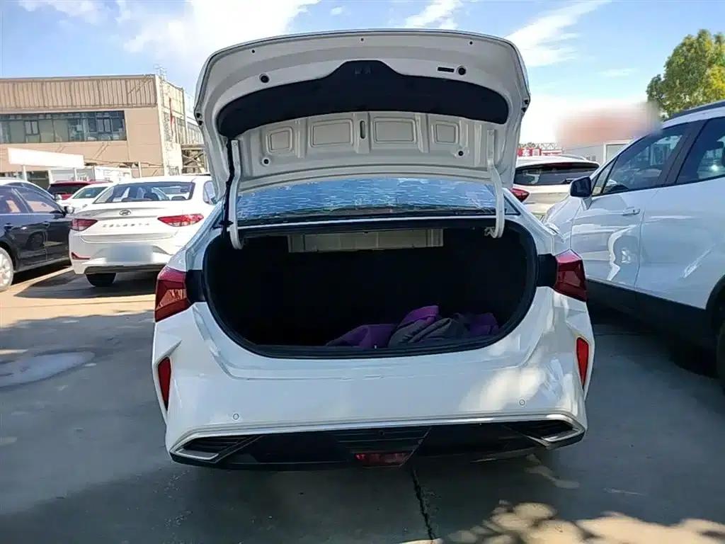 2020 Hyundai Verna 1.4L Manual GLS Cool Edition — миниатюра 19