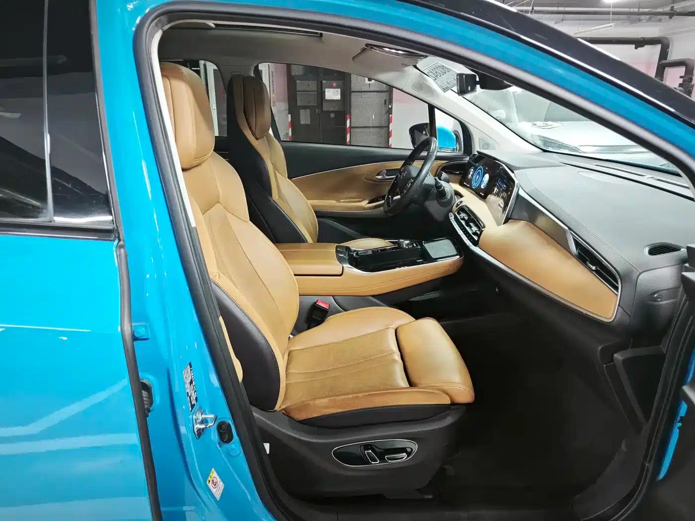 AION LX 2019 80D Max — миниатюра 3