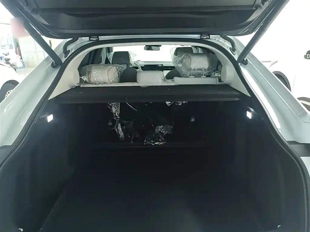 Hunter Light e:NS2 2024 Aura Edition — миниатюра 19