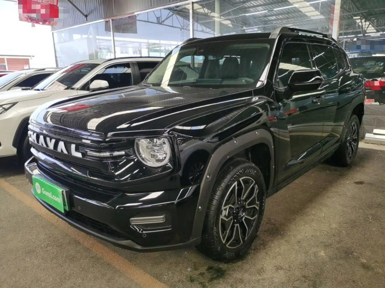 Haval H Dog New Energy 2026 Model Hi4 150km Trendy Electric Edition — миниатюра 1