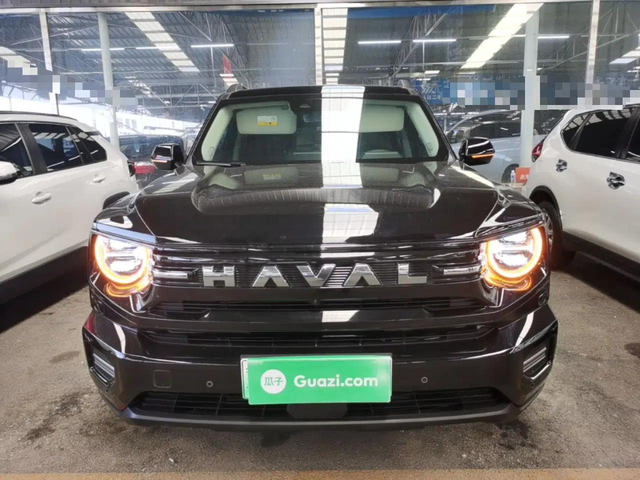 Haval H Dog New Energy 2026 Model Hi4 150km Trendy Electric Edition — миниатюра 2